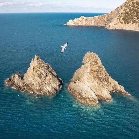 Appartement Pied Dans L'Eau La Seyne-sur-Mer Esterno foto