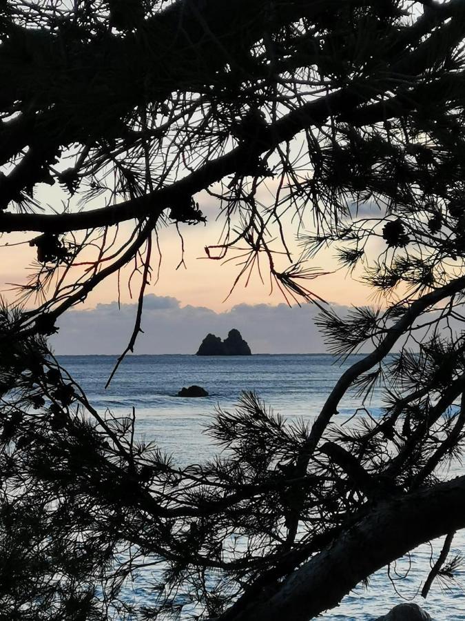 Appartement Pied Dans L'Eau La Seyne-sur-Mer Esterno foto