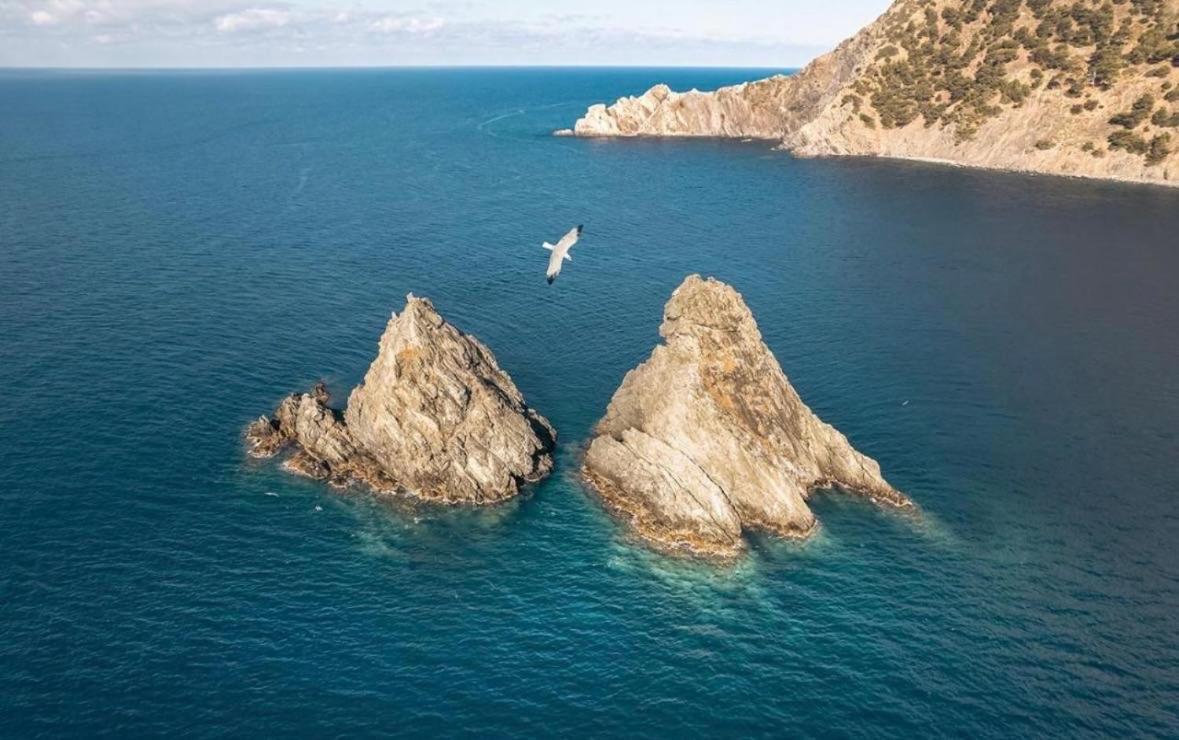 Appartement Pied Dans L'Eau La Seyne-sur-Mer Esterno foto